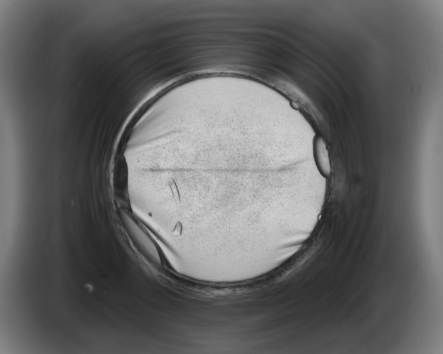 X0000086230892200704261854