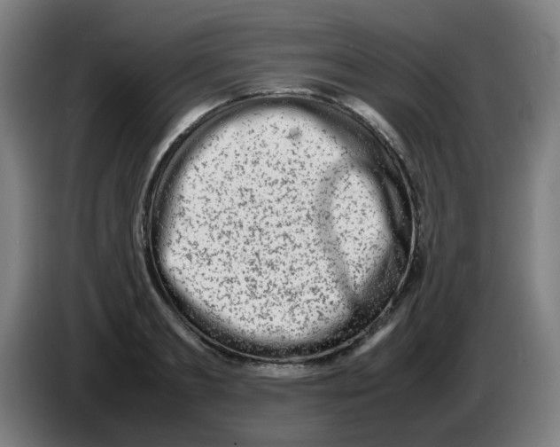 X0000086230893200704261854