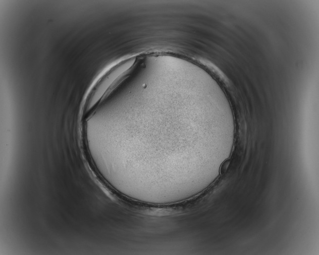 X0000086230894200704261854