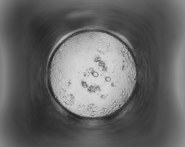 X0000086230895200704261854