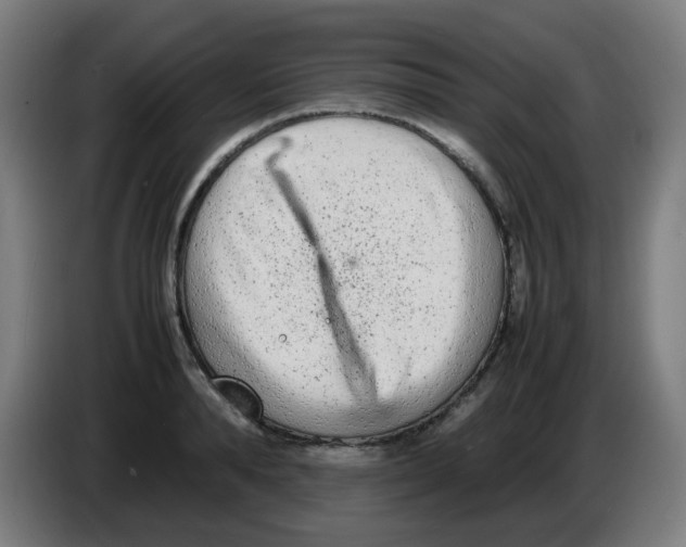 X0000086230896200704261854