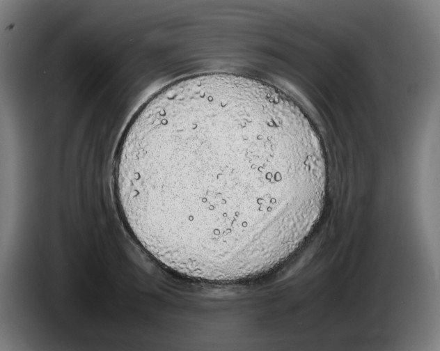 X0000086230899200704261854