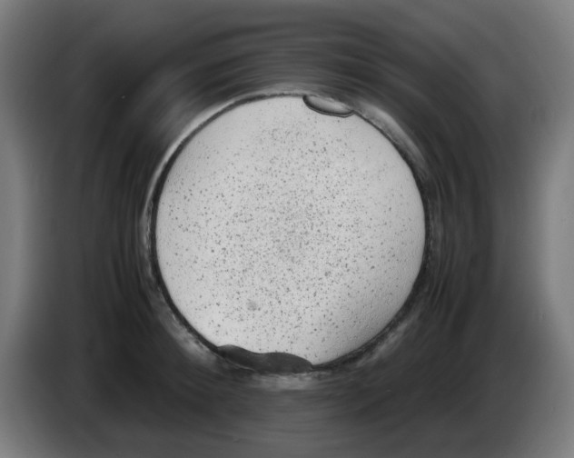 X0000086230900200704261854