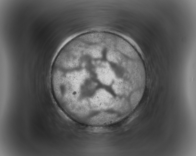 X0000086230903200704261854