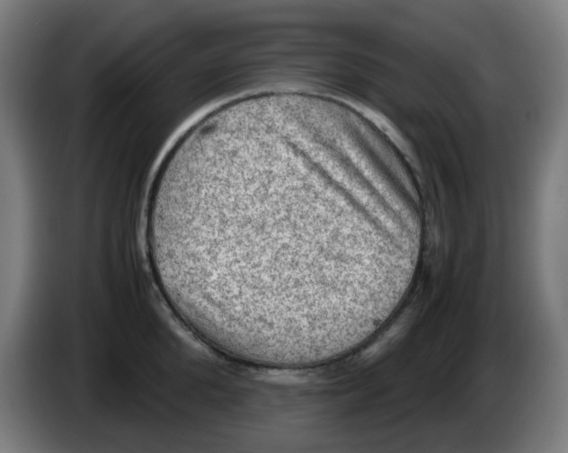 X0000086230904200704261854