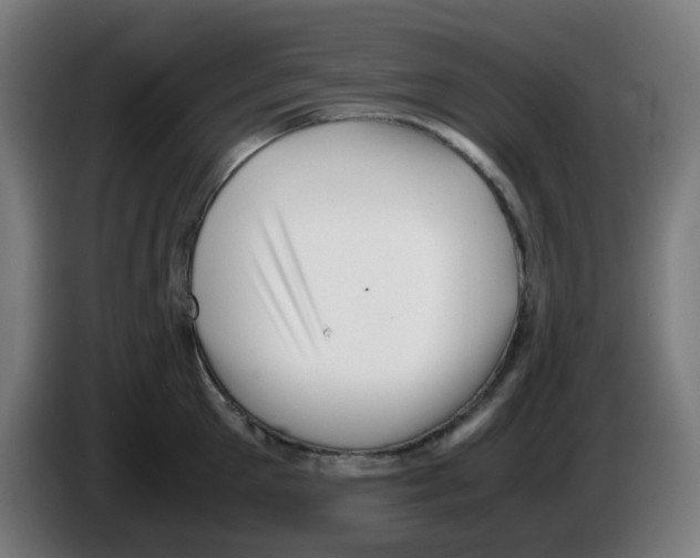 X0000086230905200704261854