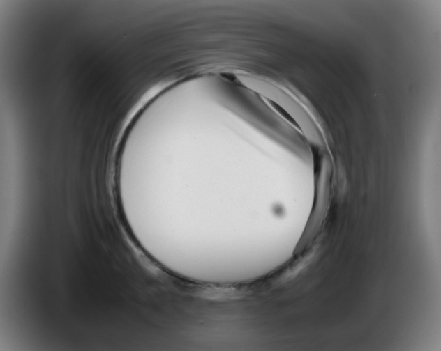 X0000086230909200704261854