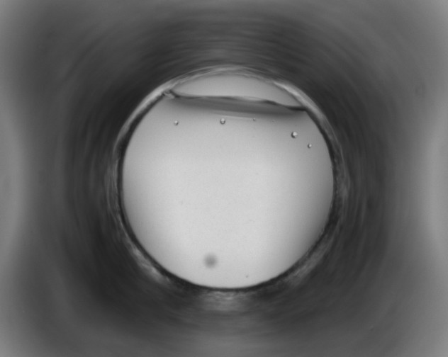 X0000086230910200704261854