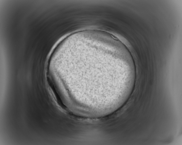 X0000086230912200704261854