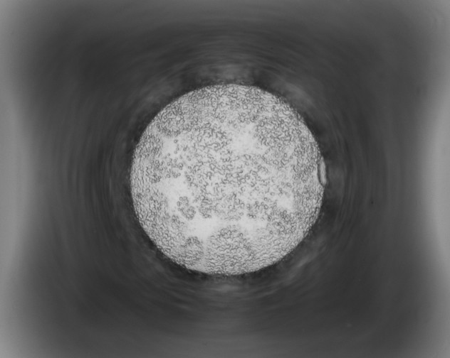 X0000086230913200704261853