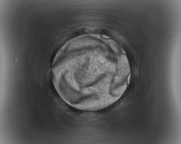 X0000086230914200704261853