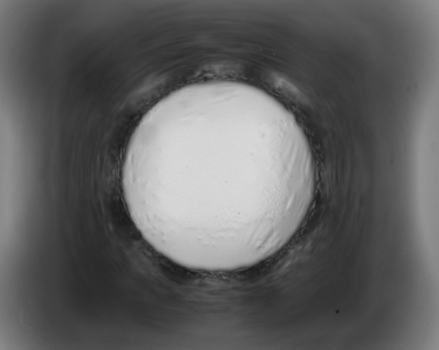 X0000086230917200704261853