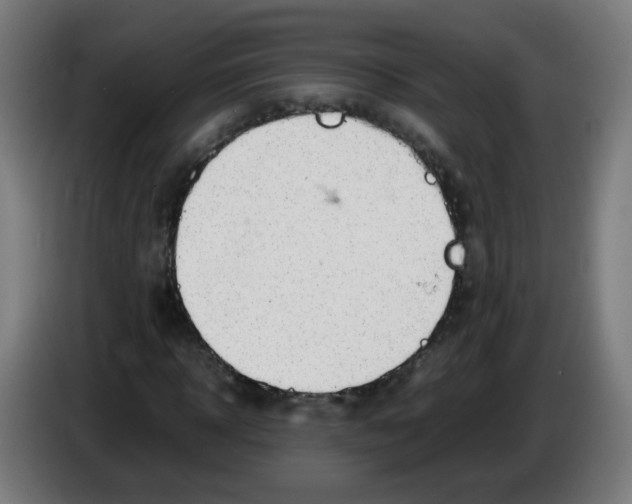 X0000086230918200704261853