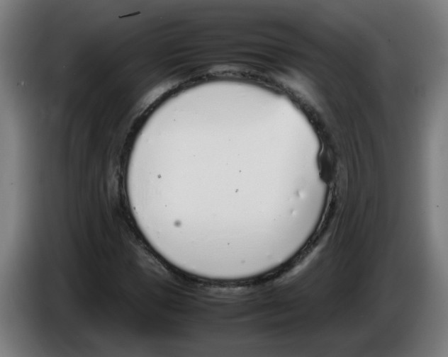 X0000086230921200704261853