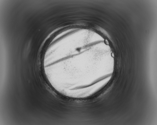 X0000086230923200704261853