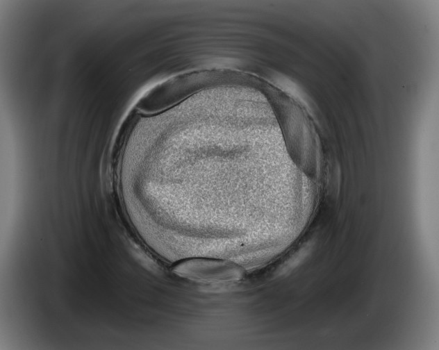 X0000086230924200704261853