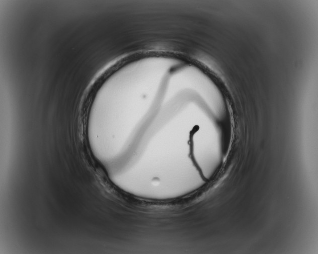 X0000086230925200704261853