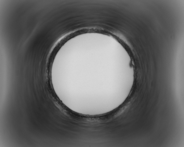 X0000086230927200704261853