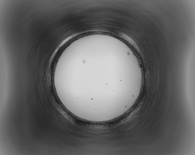 X0000086230931200704261853