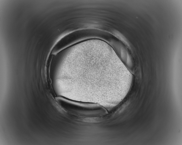 X0000086230932200704261853