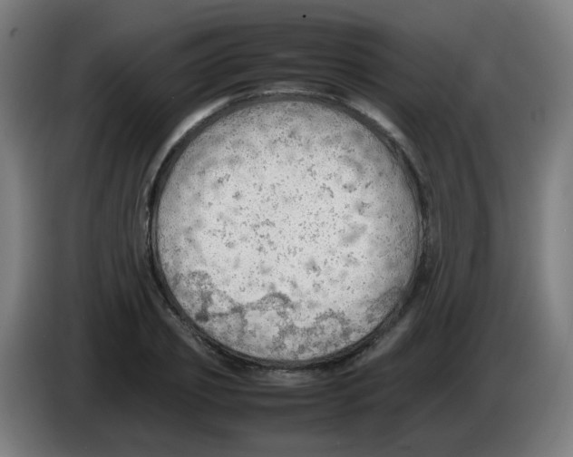 X0000086230933200704261853