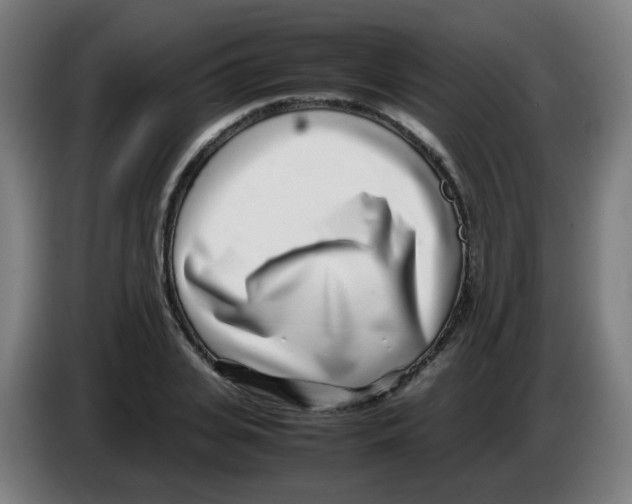 X0000086230935200704261853