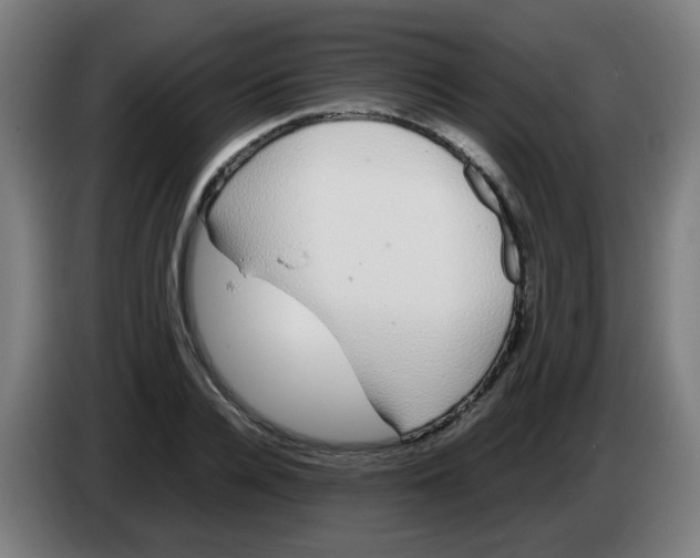 X0000086230936200704261853