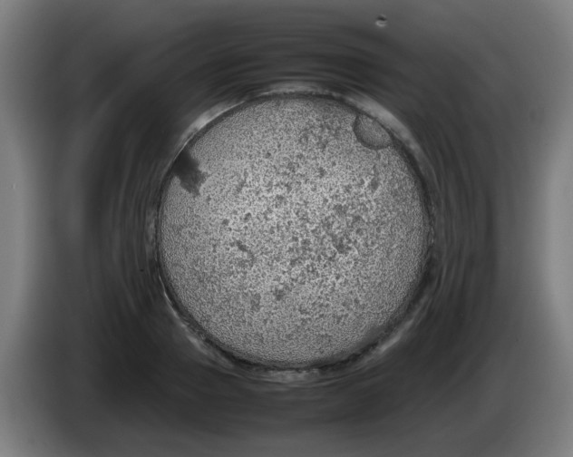 X0000086230937200704261853