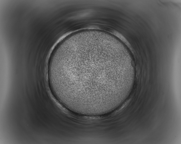 X0000086230939200704261853