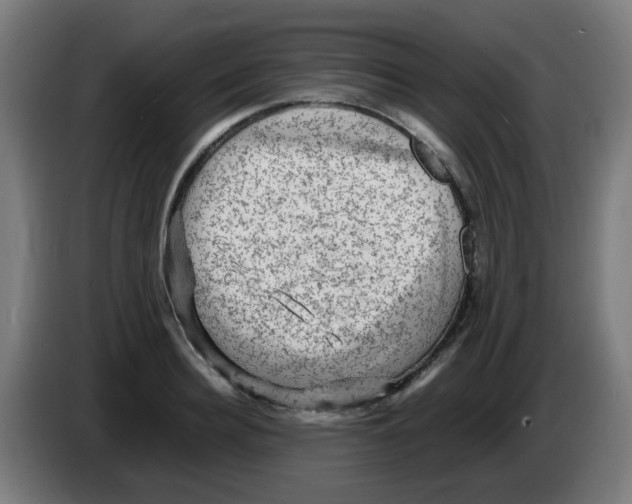 X0000086230940200704261853