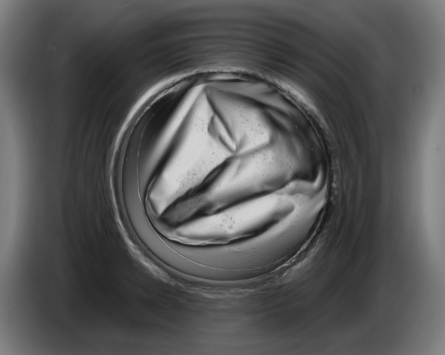 X0000086230942200704261853