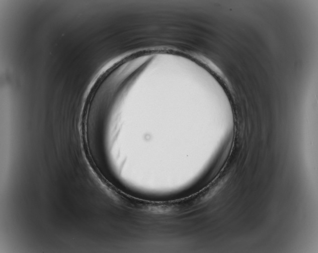 X0000086230943200704261853