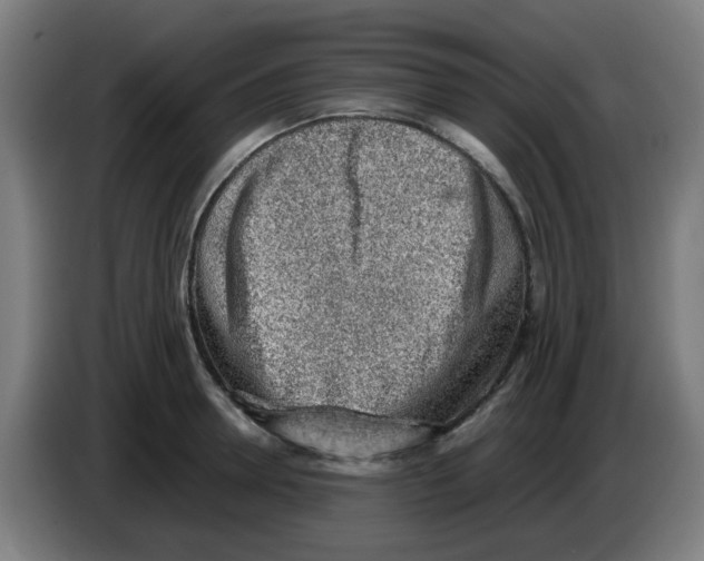 X0000086230946200704261853