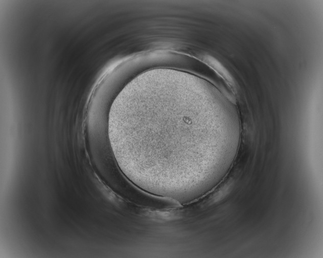 X0000086230948200704261853