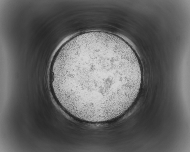 X0000086230949200704261853