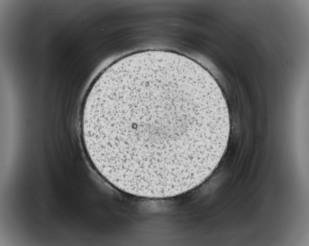 X0000086230950200704261853