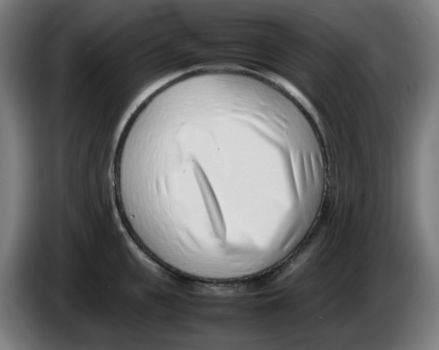 X0000086230951200704261853