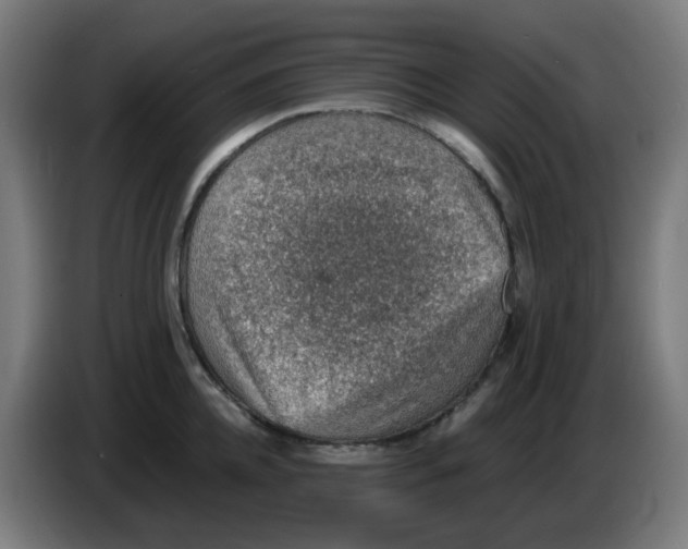 X0000086230952200704261853