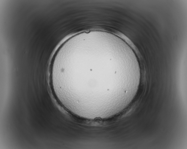 X0000086230955200704261853