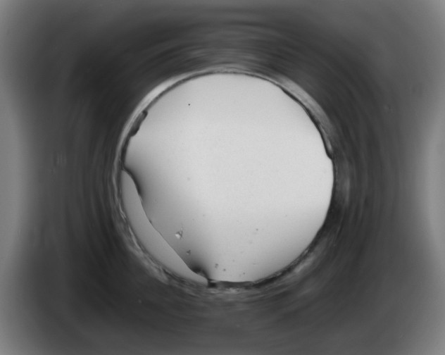 X0000086230956200704261853