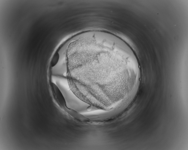 X0000086230958200704261853