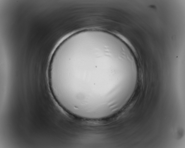 X0000086230959200704261853