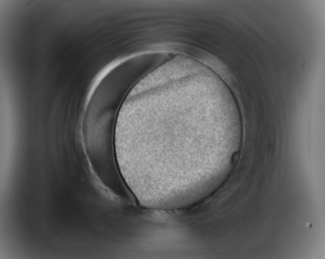 X0000086230960200704261853