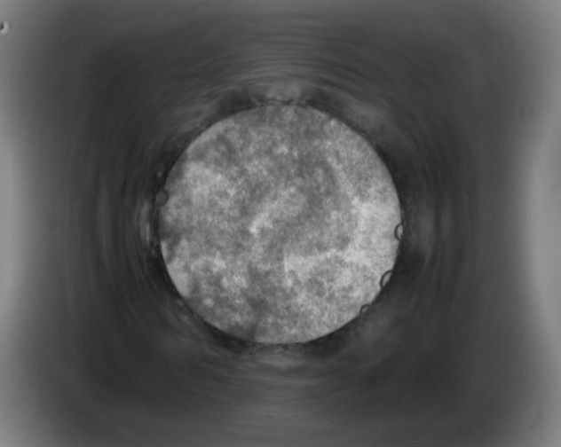 X0000086230962200704261853