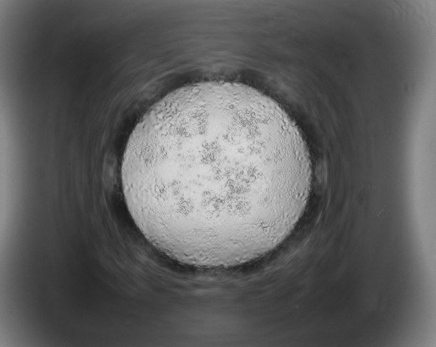 X0000086230963200704261853