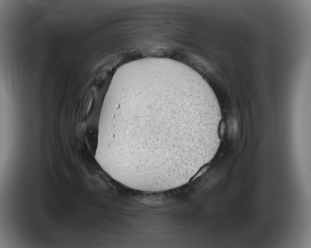 X0000086230964200704261853