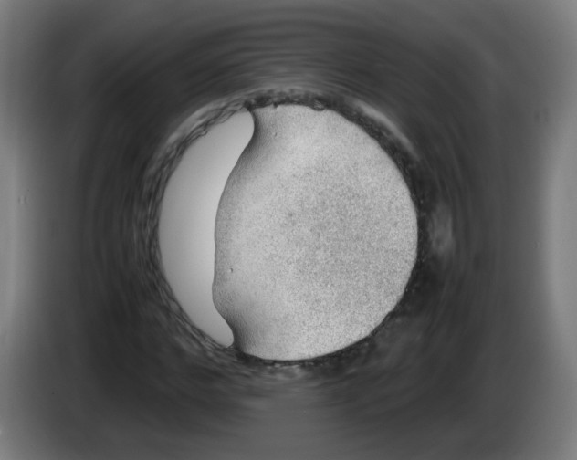 X0000086230968200704261853