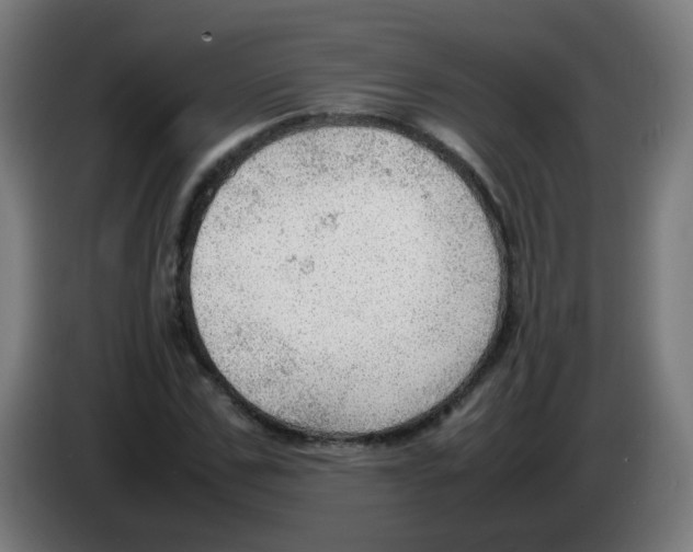 X0000086230971200704261853