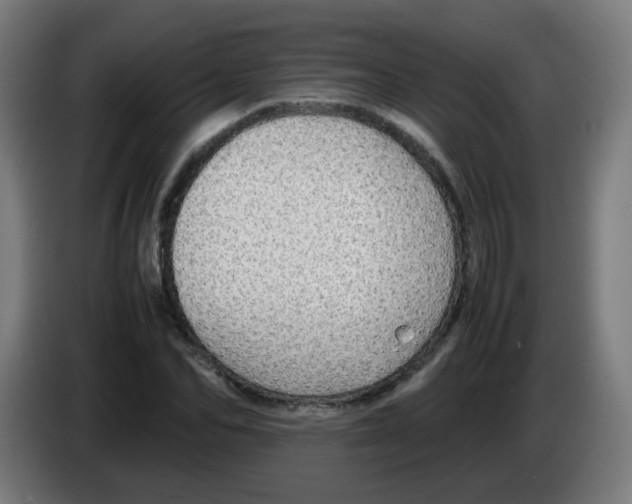 X0000086230974200704261853