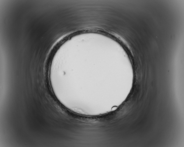 X0000086230975200704261853